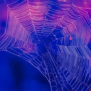 NCSC Shares Tips on How to Make a Pen Tester’s Job Harder